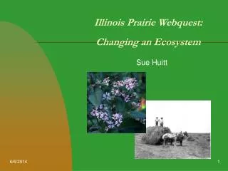 Illinois Prairie Webquest: Changing an Ecosystem