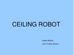 CEILING ROBOT