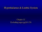 Hypothalamus &amp; Limbic System - slide 1