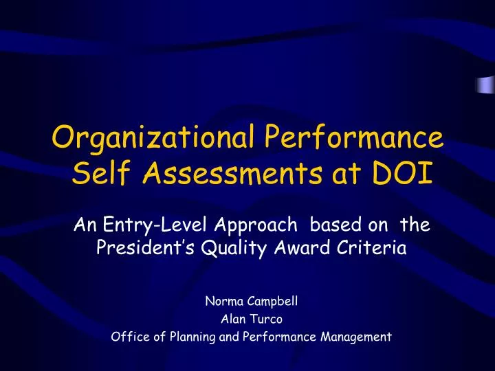 organizational performance self assessments at doi