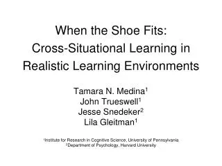 When the Shoe Fits: Cross-Situational Learning in Realistic Learning Environments