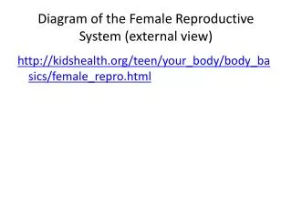 Diagram of the Female Reproductive System (external view)