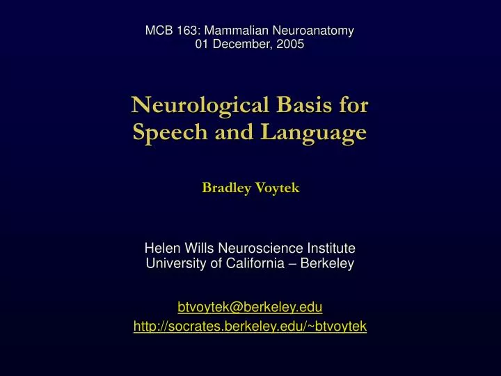 neurological basis for speech and language