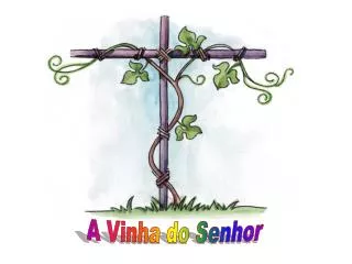 A Vinha do Senhor