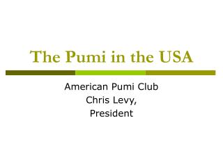 The Pumi in the USA