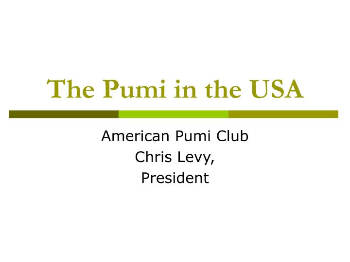 the pumi in the usa