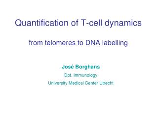 Quantification of T-cell dynamics from telomeres to DNA labelling