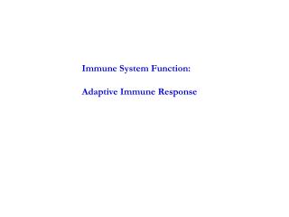 Immune System Function: Adaptive Immune Response