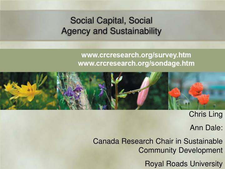 social capital social agency and sustainability