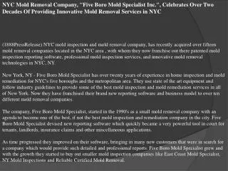 NYC Mold Removal Company