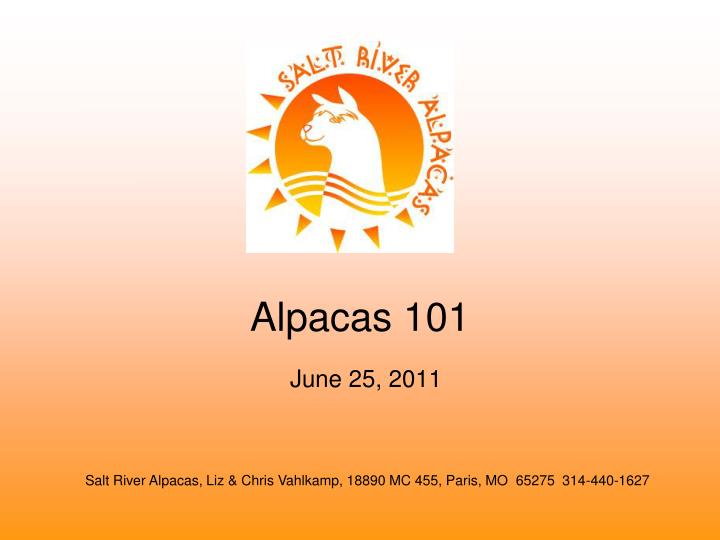 alpacas 101