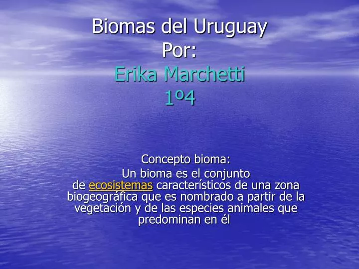 biomas del uruguay por erika marchetti 1 4