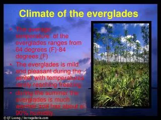 The average temperature of the everglades ranges from 64 degrees (F)-84 degrees (F)
