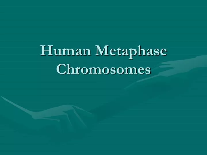 human metaphase chromosomes