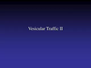 Vesicular Traffic II