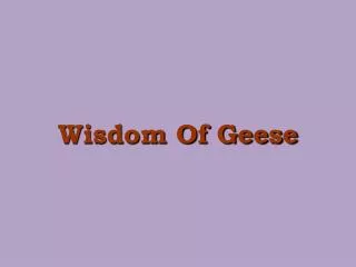 Wisdom Of Geese