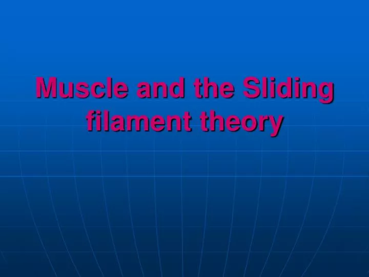 muscle and the sliding filament theory