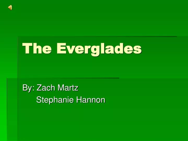 the everglades