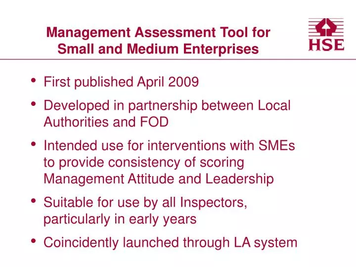 management assessment tool for small and medium enterprises