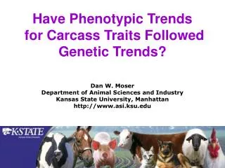Have Phenotypic Trends for Carcass Traits Followed Genetic Trends?