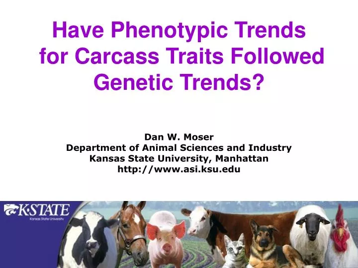 have phenotypic trends for carcass traits followed genetic trends