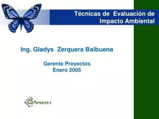 t cnicas de evaluaci n de impacto ambiental
