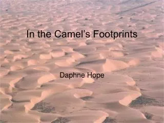 In the Camel’s Footprints