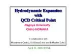 QCD Critical Point: Insights from Hydrodynamic Models and Heavy Ion Collisions - slide 1