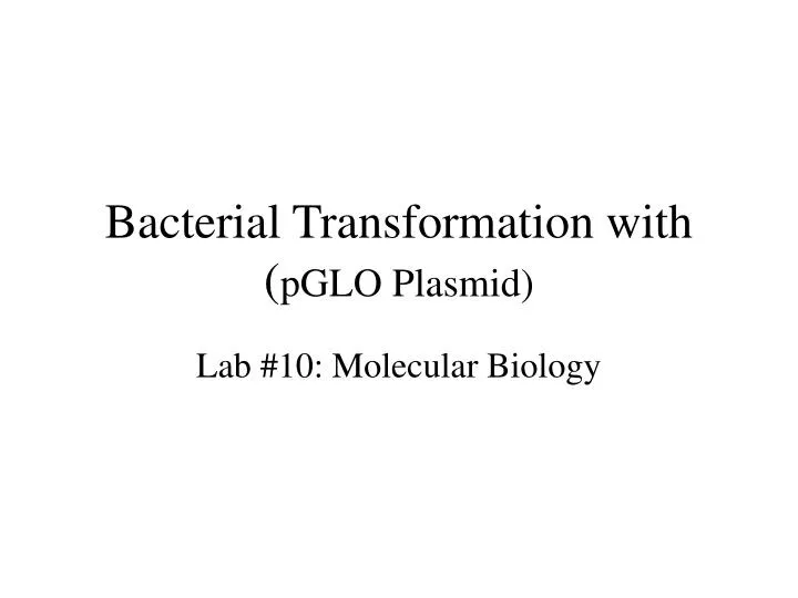 bacterial transformation with pglo plasmid