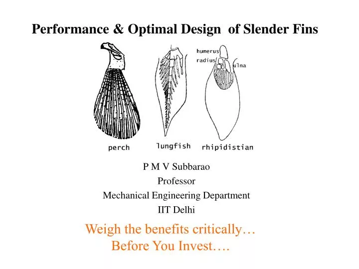 performance optimal design of slender fins