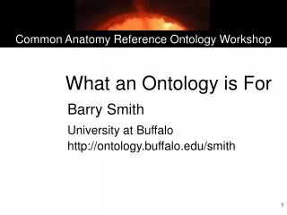 What an Ontology is For