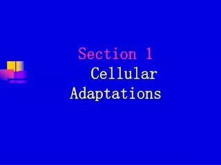 Section 1 Cellular Adaptations