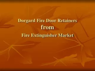 Dorgard Fire Door Retainers