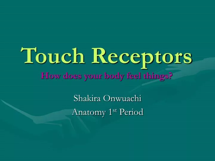 touch receptors how does your body feel things