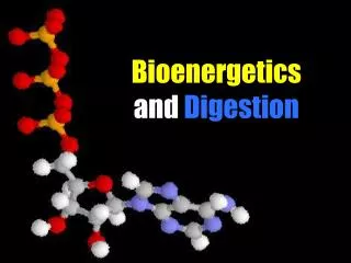 Bioenergetics and Digestion