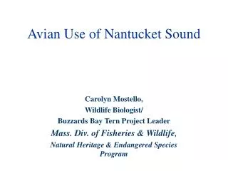 Avian Use of Nantucket Sound
