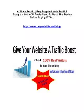 Affiliate Traffic Review