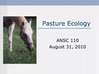 Pasture Ecology