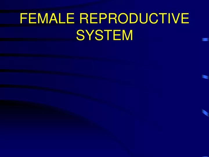 Ppt Female Reproductive System Powerpoint Presentation Free Download Id1290798 7332