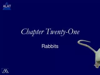 Chapter Twenty-One