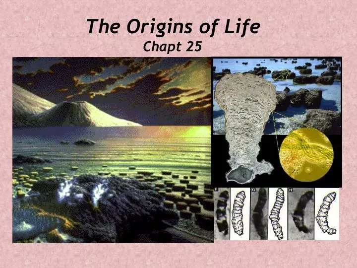 the origins of life chapt 25