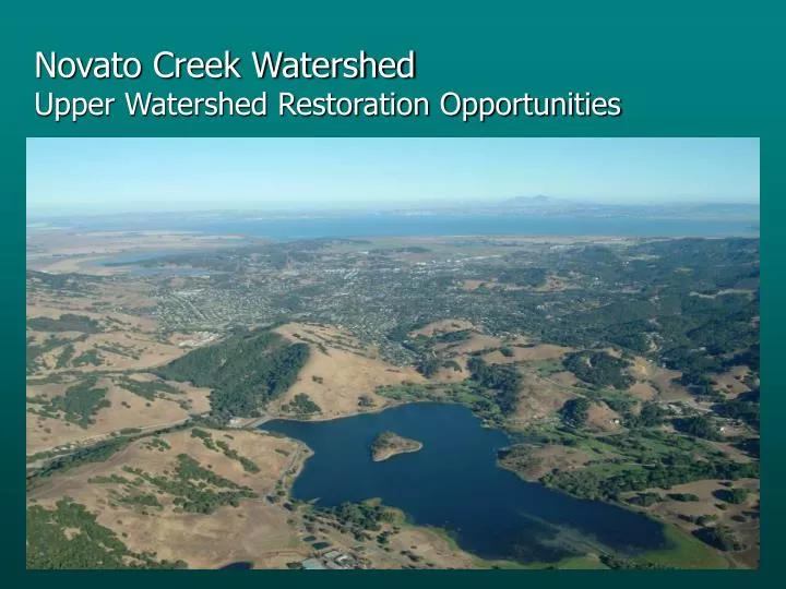 novato creek watershed upper watershed restoration opportunities