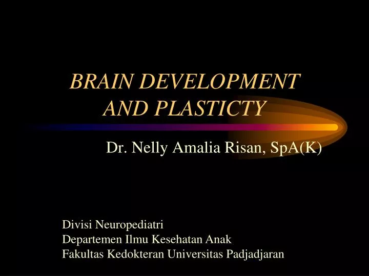 brain development and plasticty