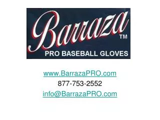 Barraza PRO Baseball Gloves