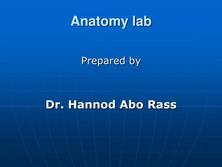 PPT - Anatomy Computer Lab Instructions PowerPoint Presentation, free  download - ID:5590787