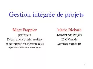 gestion int gr e de projets