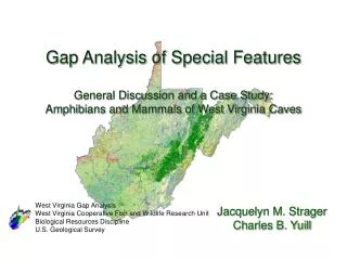 Gap Analysis of Special Features General Discussion and a Case Study: Amphibians and Mammals of West Virginia Caves