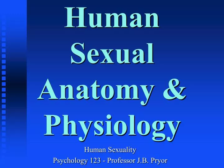 human sexual anatomy physiology