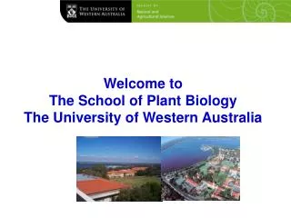 Welcome to The School of Plant Biology The University of Western Australia