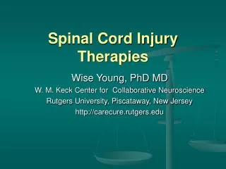 Spinal Cord Injury Therapies